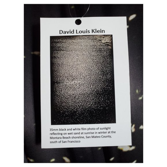 NWT Montara Beach Qipao/Cheongsam Style Dress - Picture 11 of 15